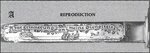 20-Alcoso_Repro.JPG