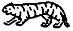 284_Tiger.JPG