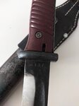 34113149_24340.jpg
