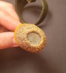 20260505_032956.jpg