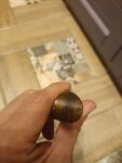 IMG_20261009_202244.jpg