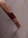 IMG_20261011_180428.jpg